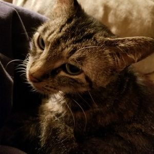 Meet your Posher, Patrick